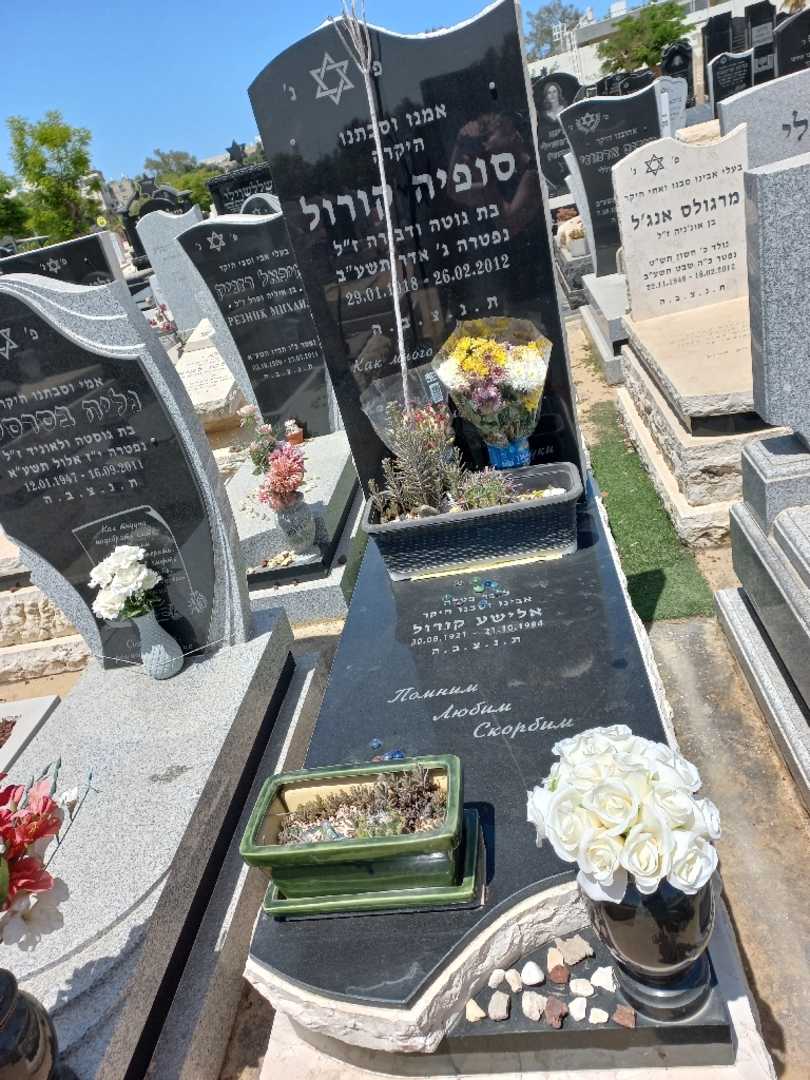 קברו של סופיה קורול