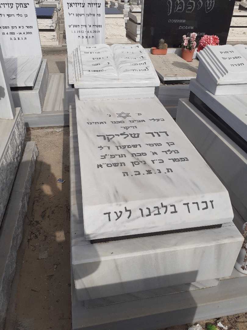 קברו של דוד שליקר