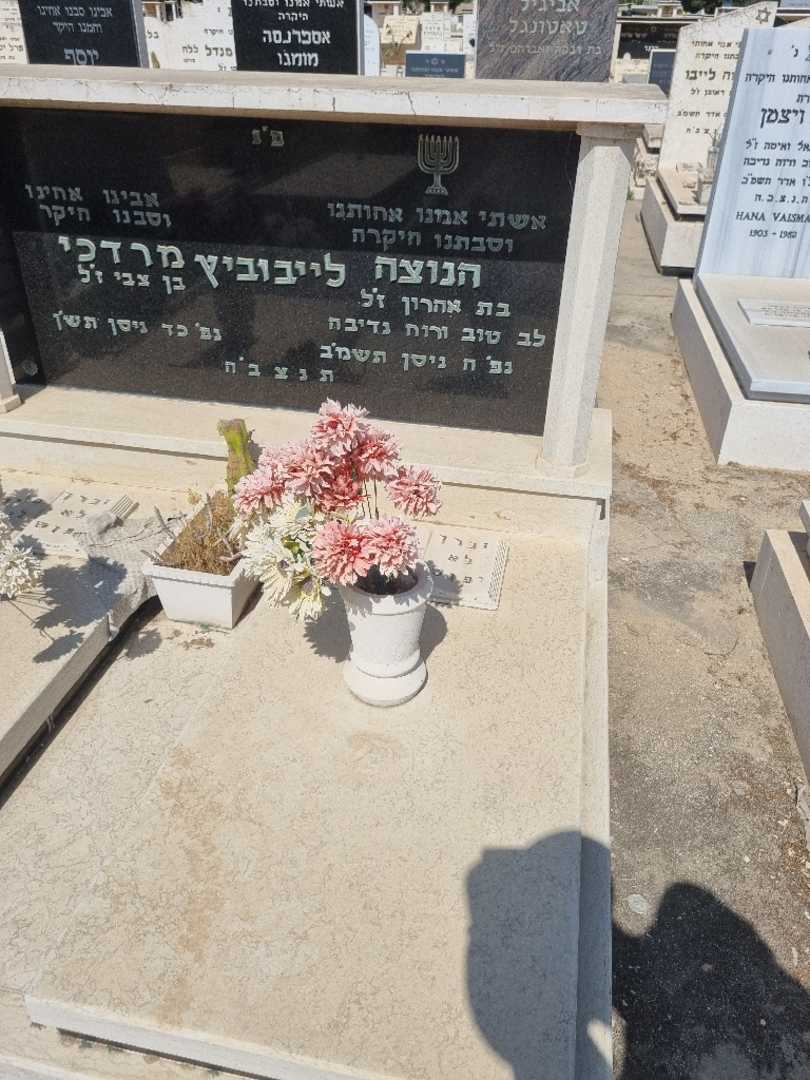 קברו של הנוצה לייבוביץ. תמונה 1