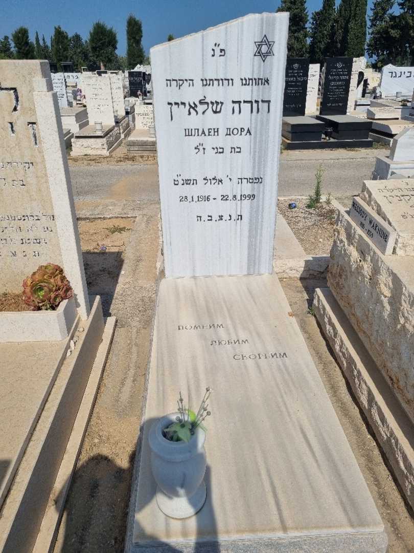 קברו של דורה שלאיין