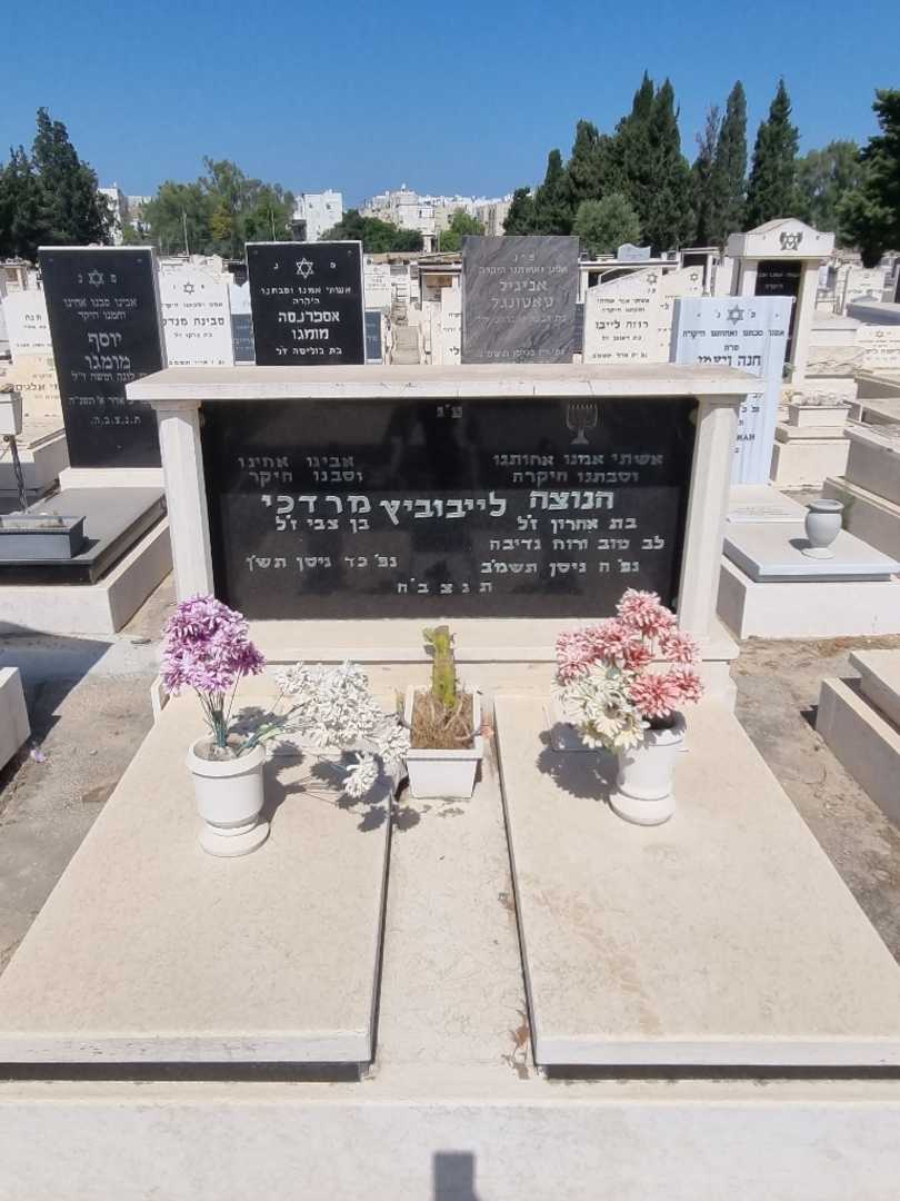 קברו של הנוצה לייבוביץ. תמונה 2