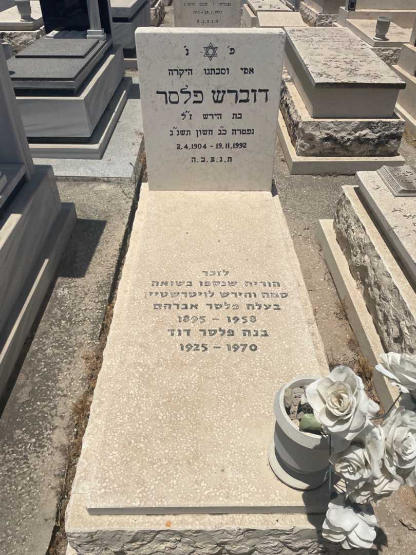 קברו של דוברש פלסר