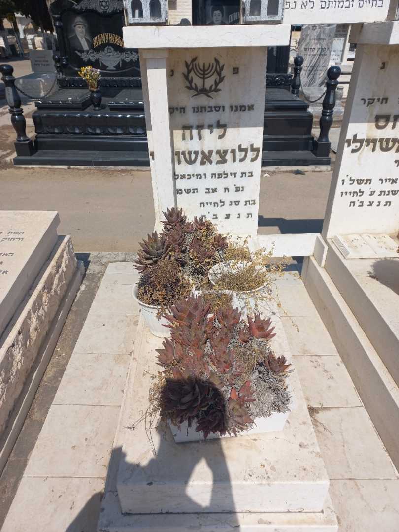 קברו של ליזה ללוצאשוילי. תמונה 2