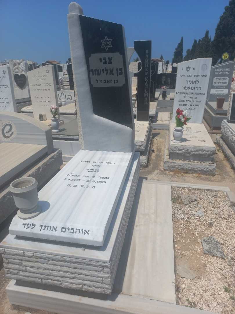 קברו של צבי בן אליעזר