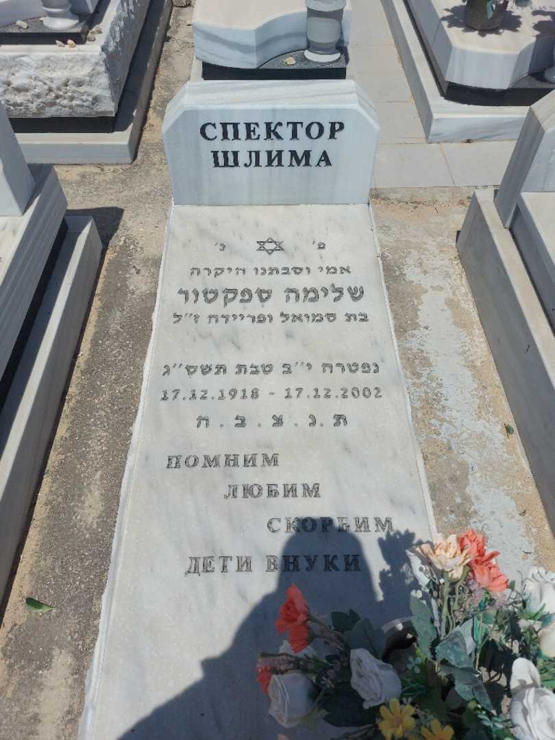 קברו של שלימה ספקטור