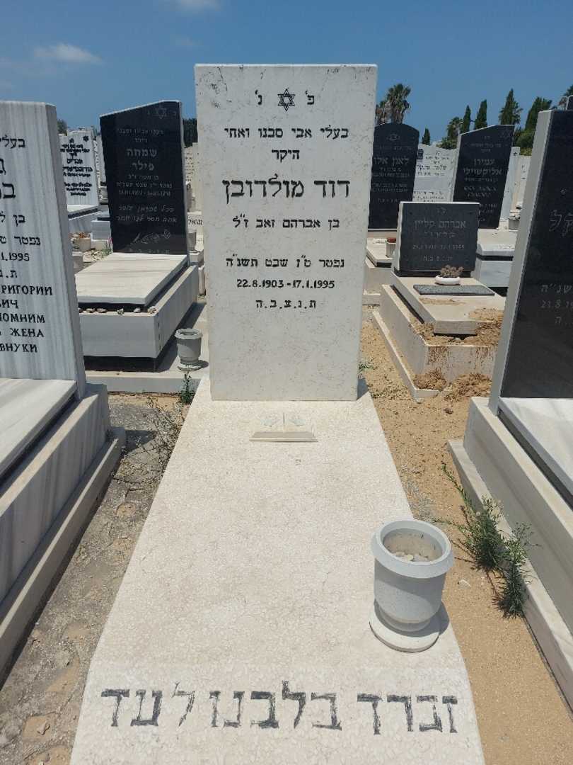 קברו של דוד מולדובין