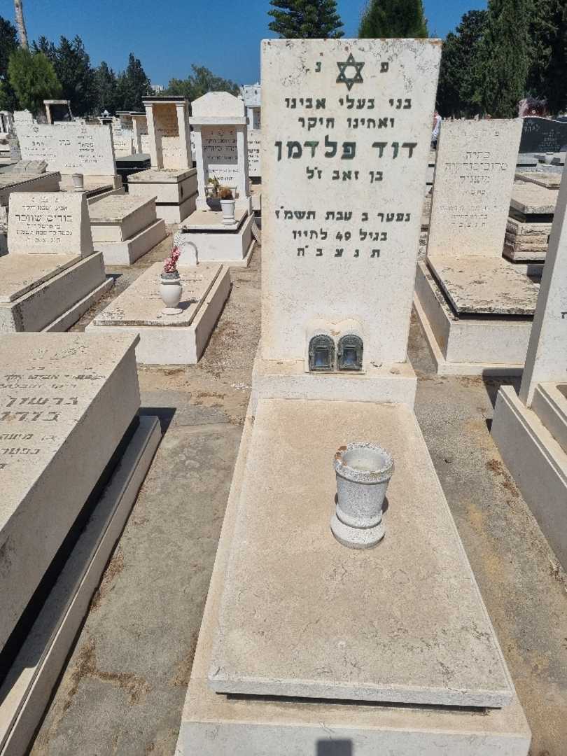 קברו של דוד פלדמן