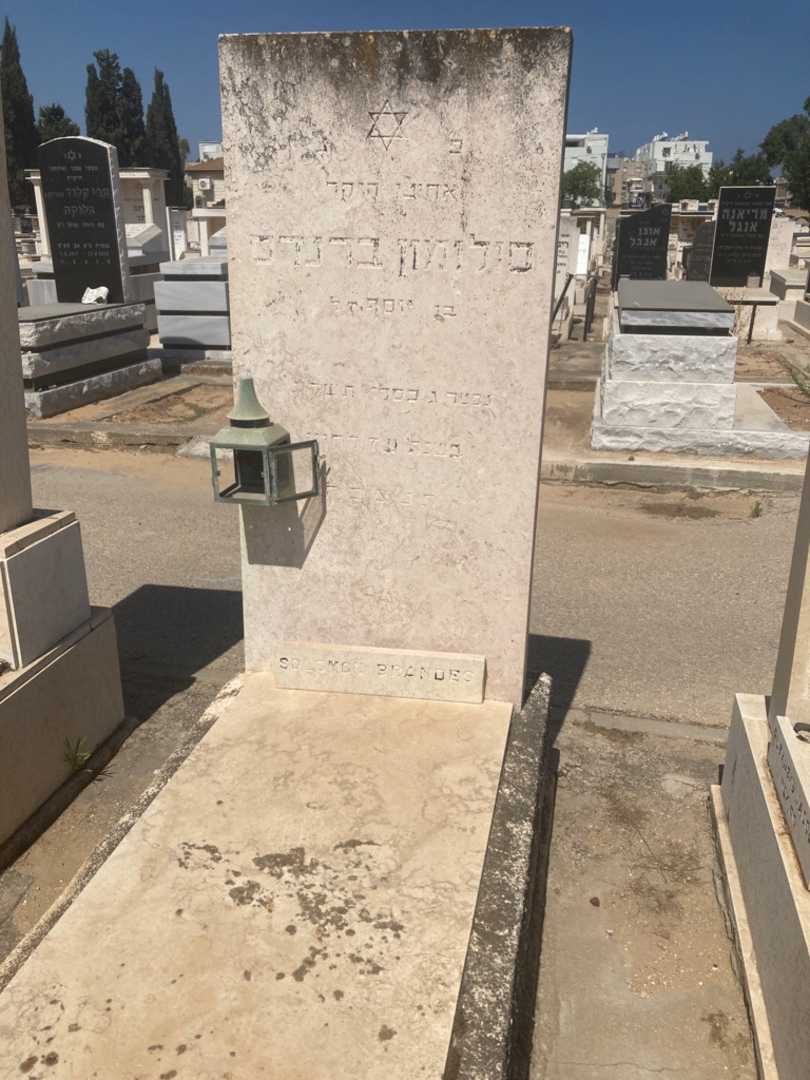 קברו של סולומון ברנדס
