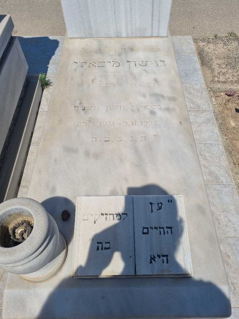 קברו של גרשון "מיכאלשוילי" מיכאלי. תמונה 3
