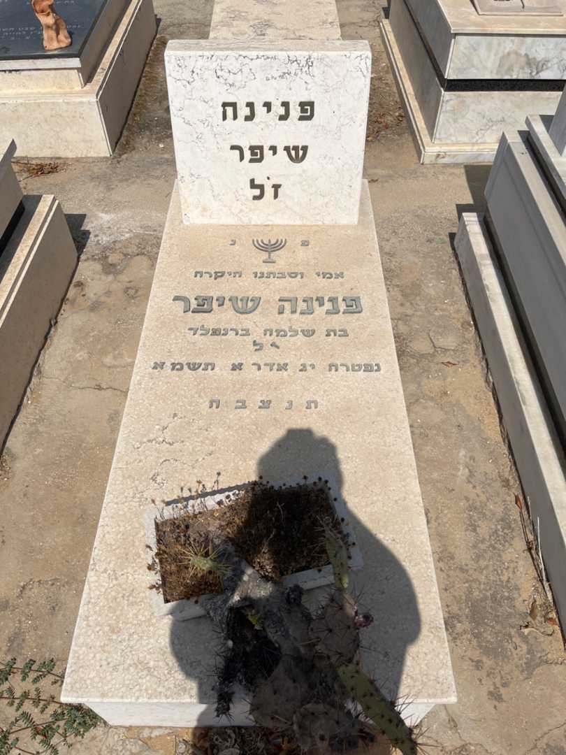 קברו של פנינה שיפר