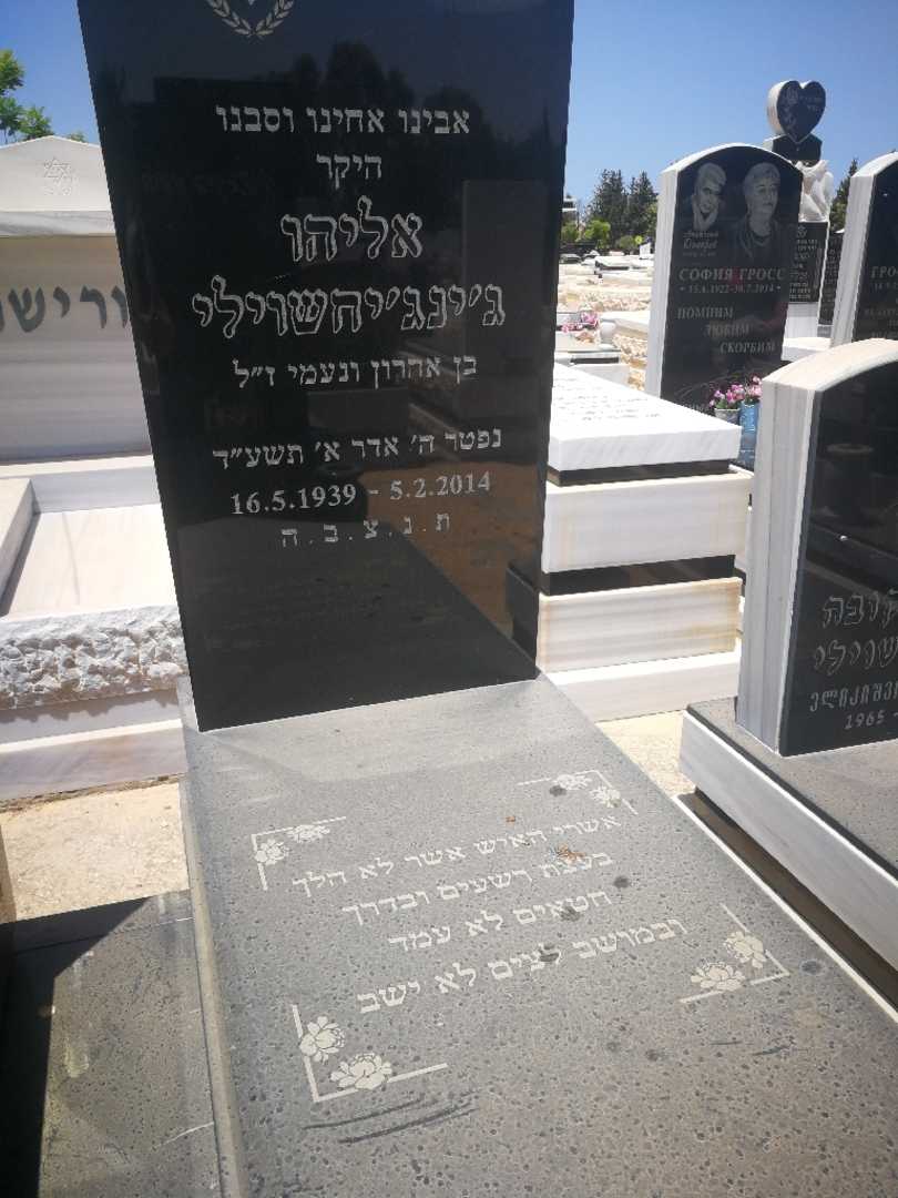 קברו של אליהו דזינדזיחשוילי