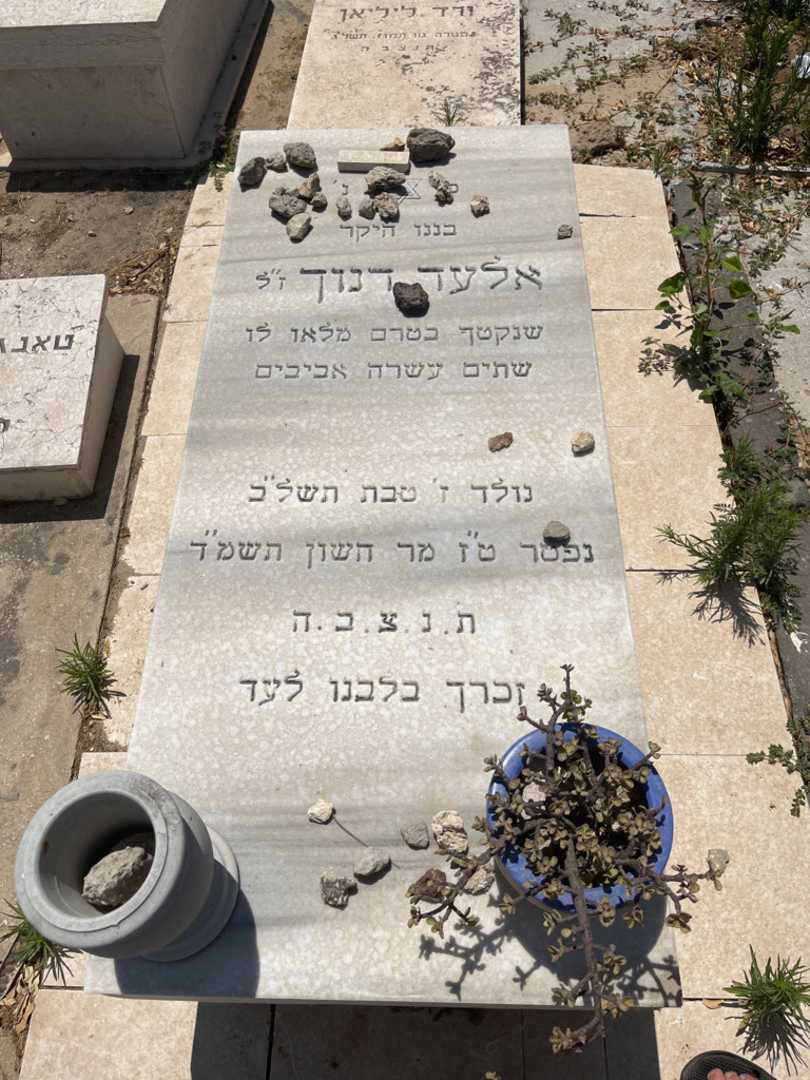 קברו של אלעד רנוך