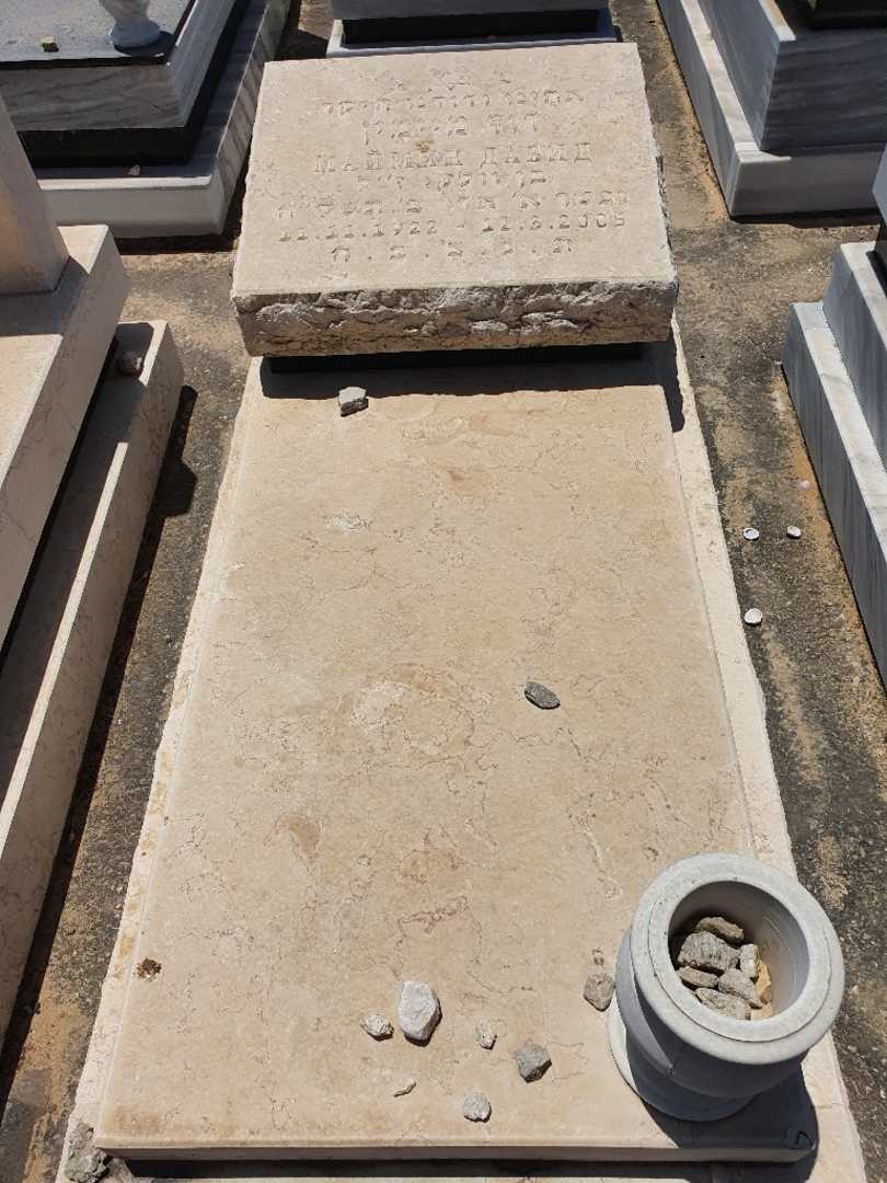 קברו של דוד מיימין