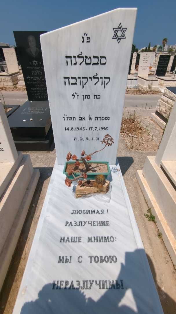 קברו של סבטלנה קוליקובה. תמונה 3