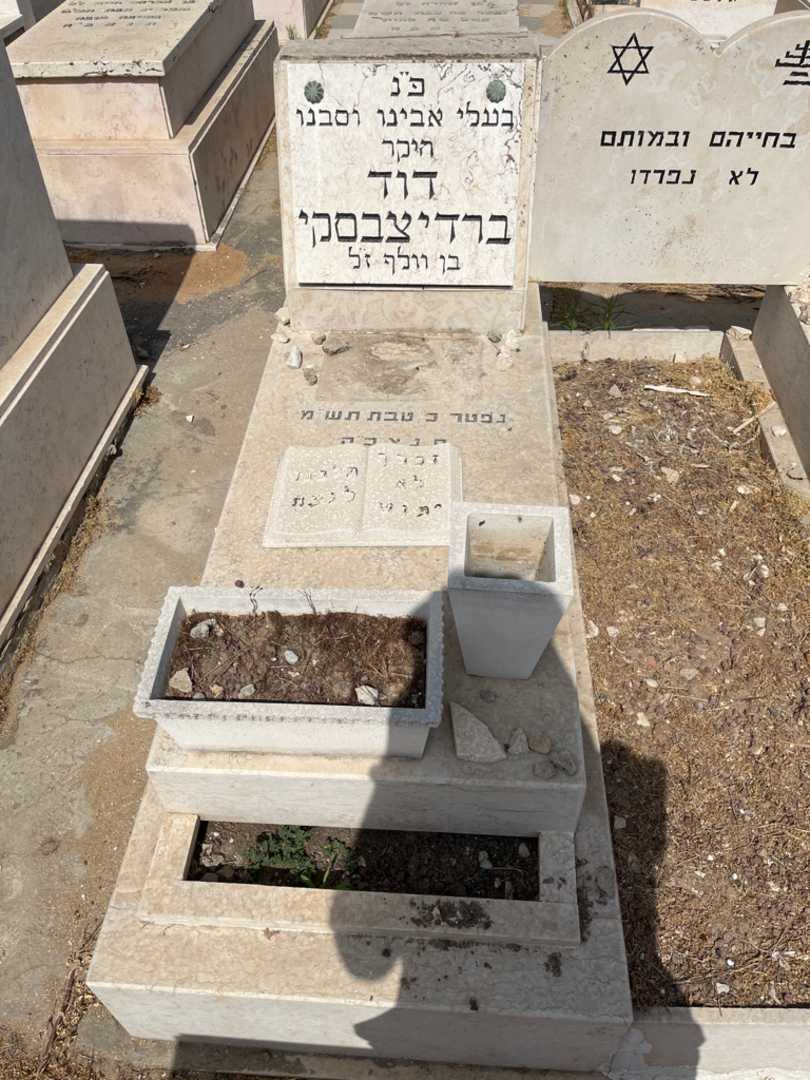 קברו של דוד ברדיצבסקי. תמונה 1