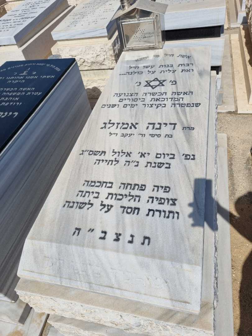 קברו של דינה אמזלג