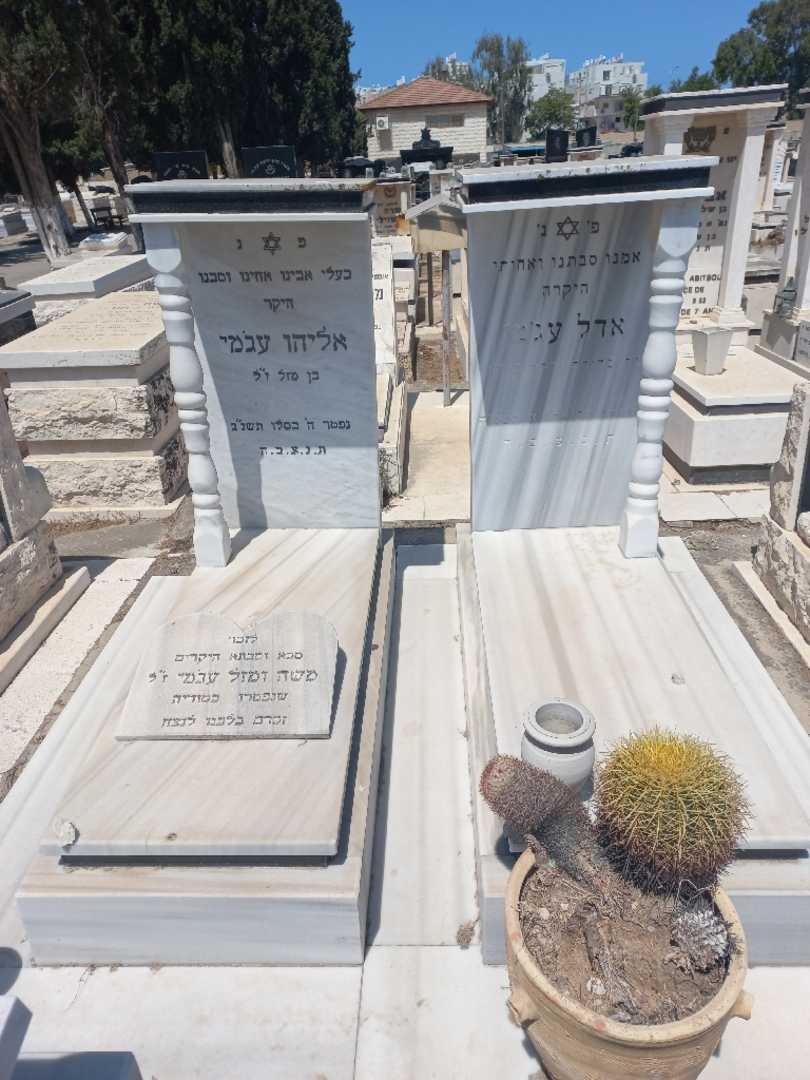 קברו של אליהו עגמי. תמונה 1