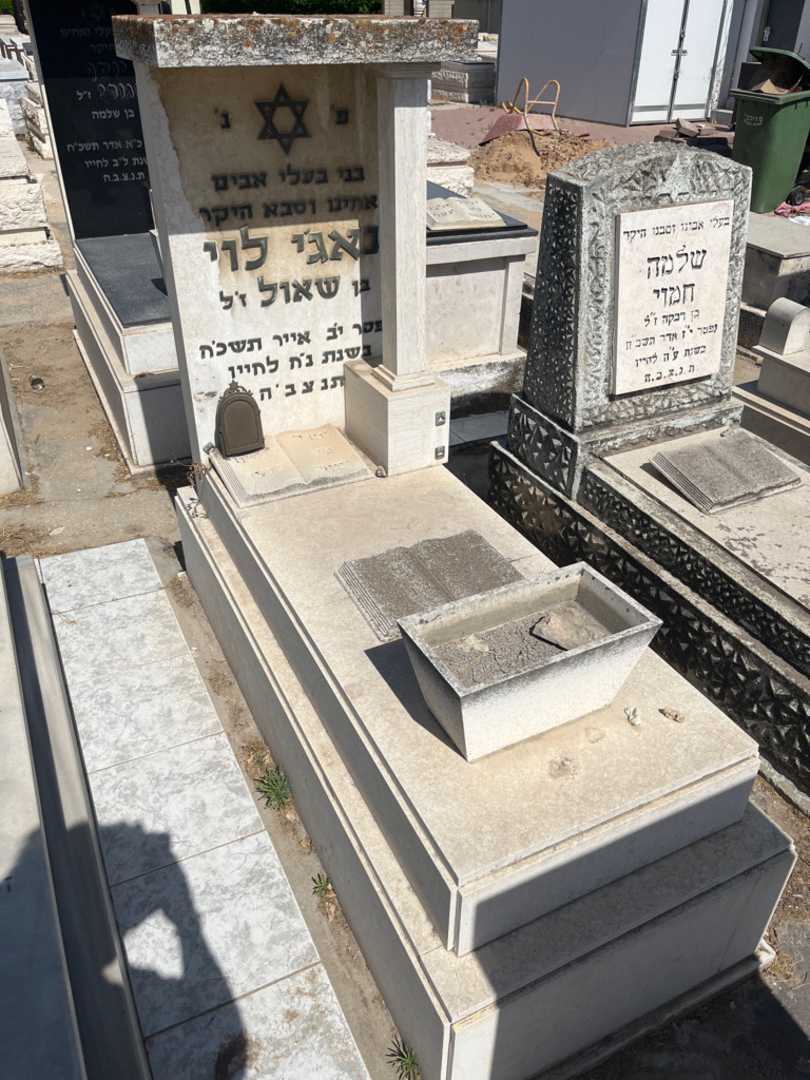קברו של נאג'י לוי