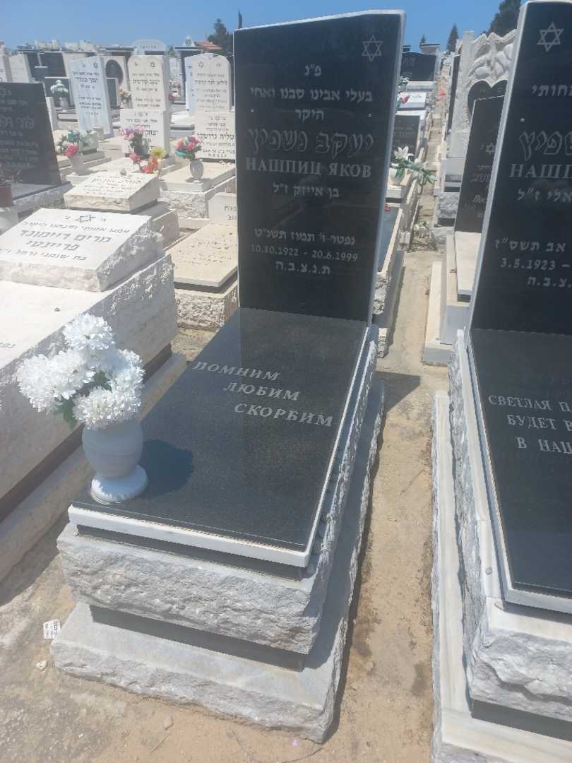 קברו של יעקב נשפיץ