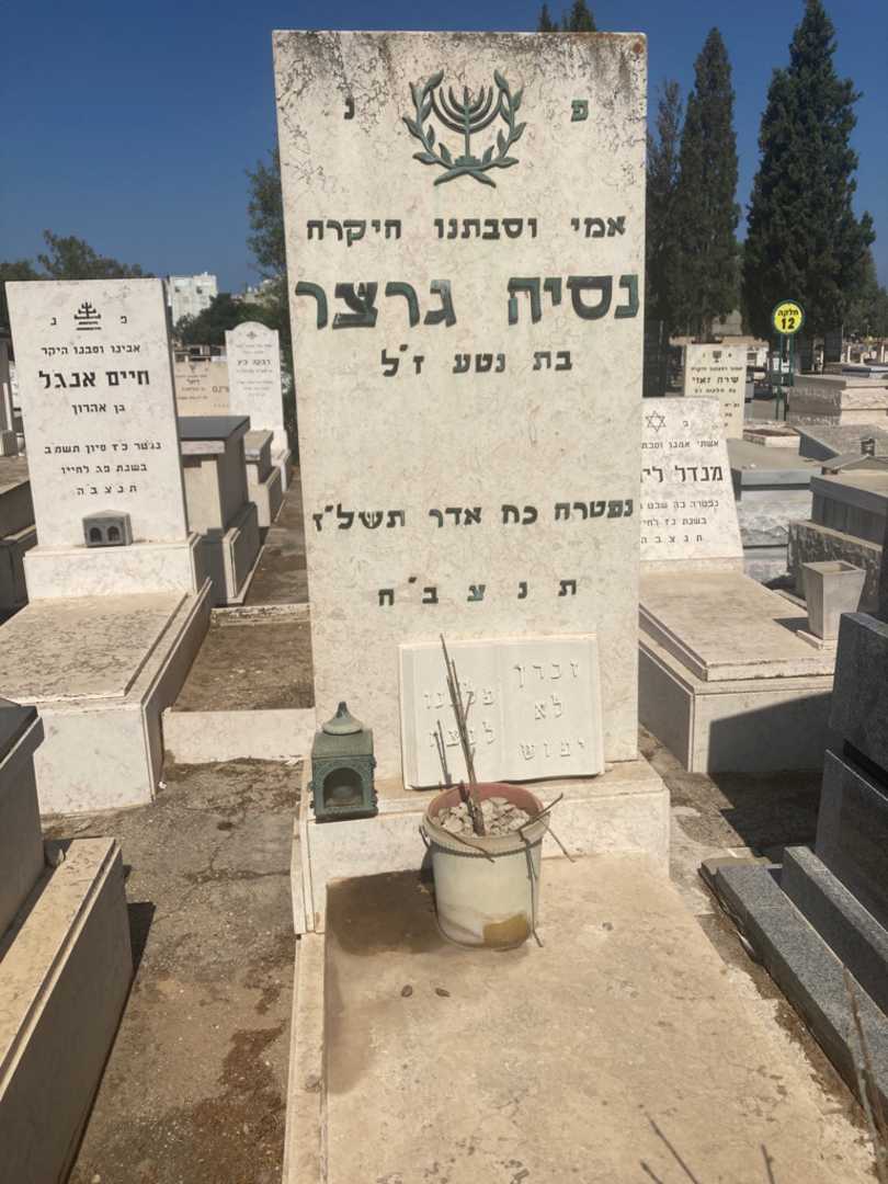 קברו של נסיה גרצר