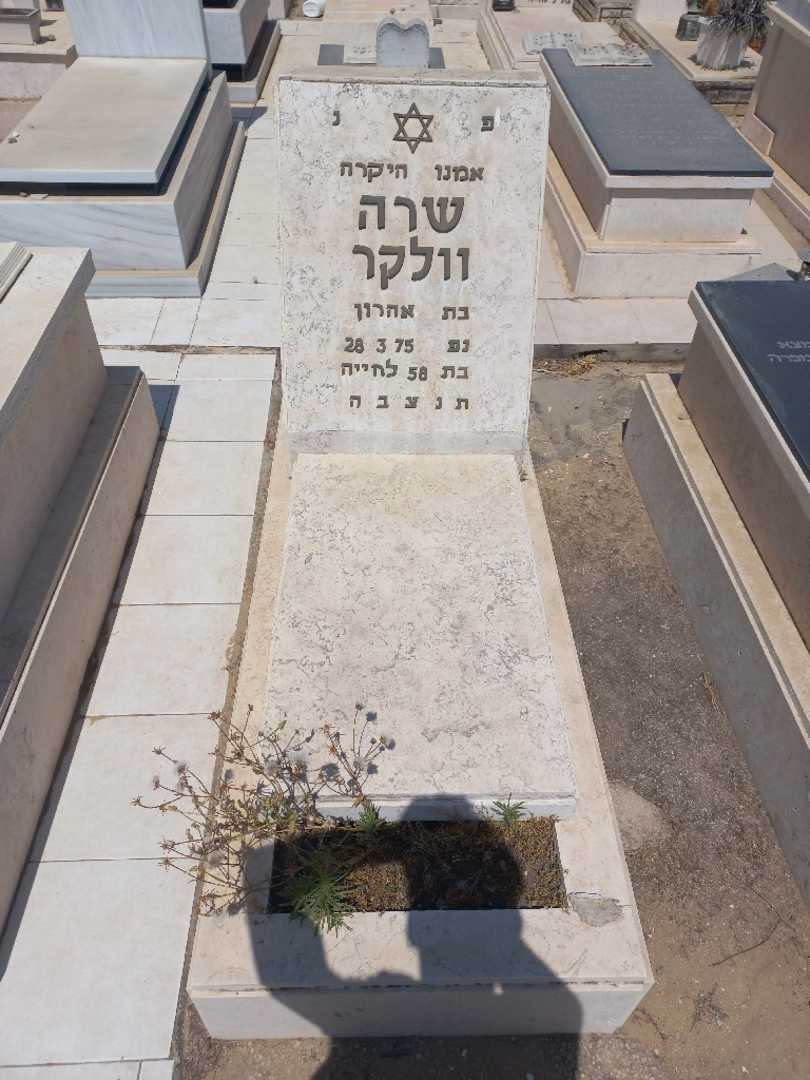 קברו של שרה וולקר