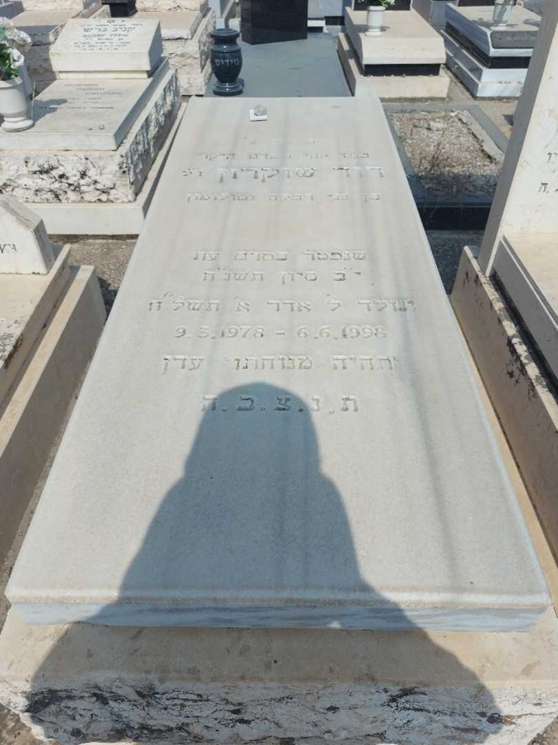 קברו של דוד שוקרון