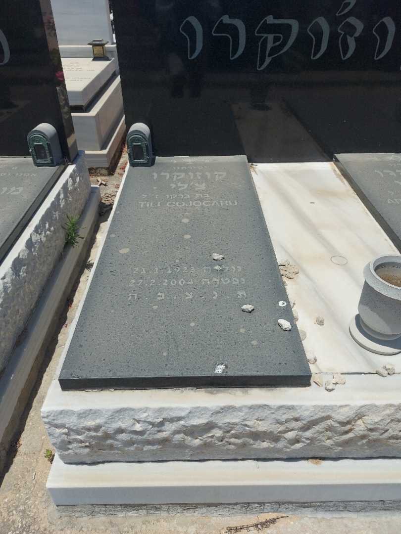 קברו של צ'לי קוג'וקרו. תמונה 1