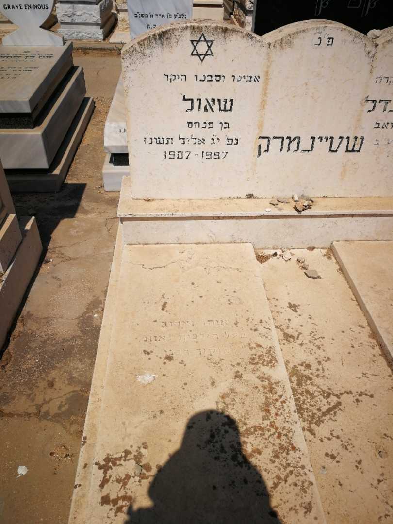 קברו של שאול שטיינמרק. תמונה 1