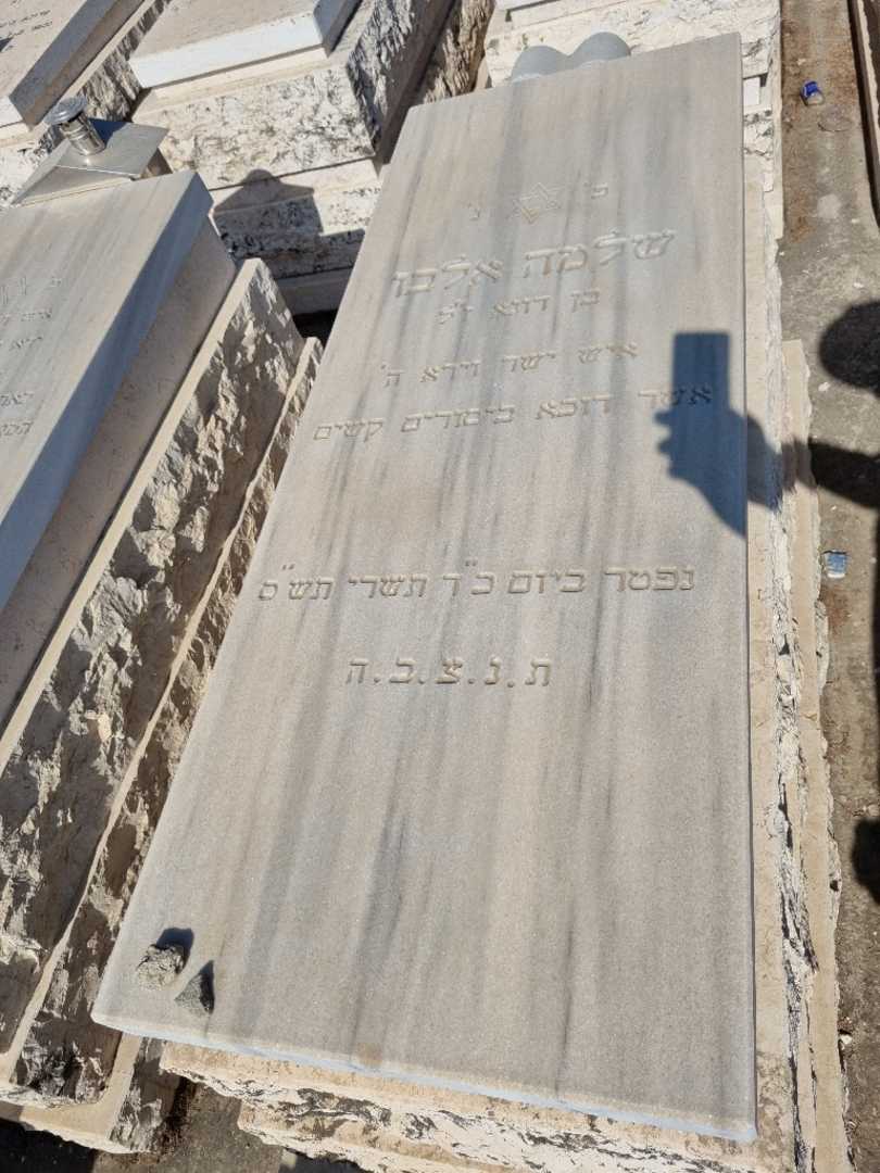 קברו של שלמה אלבו