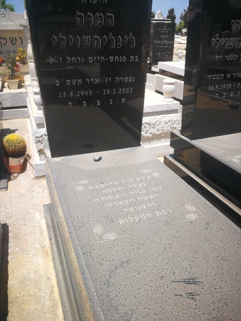 קברו של תמרה דזינדזיחשוילי