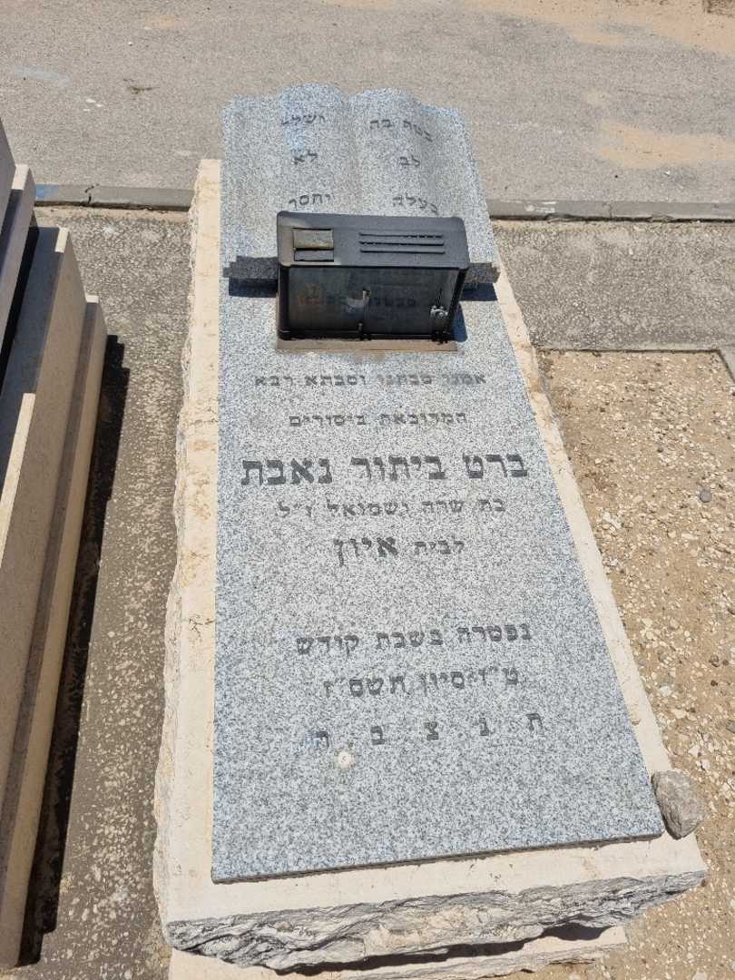קברו של ברט ביטור נאבת