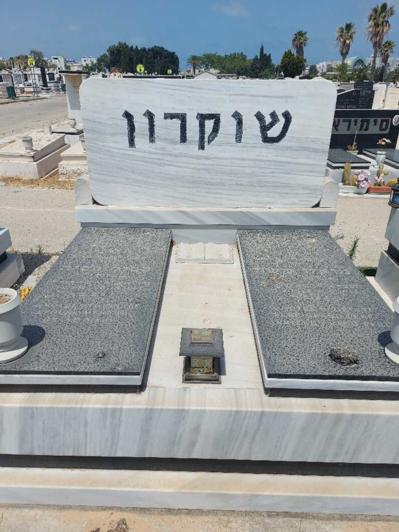 קברו של מואיז שוקרין. תמונה 2