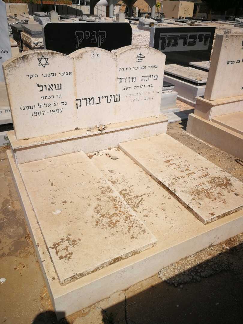 קברו של שאול שטיינמרק. תמונה 2