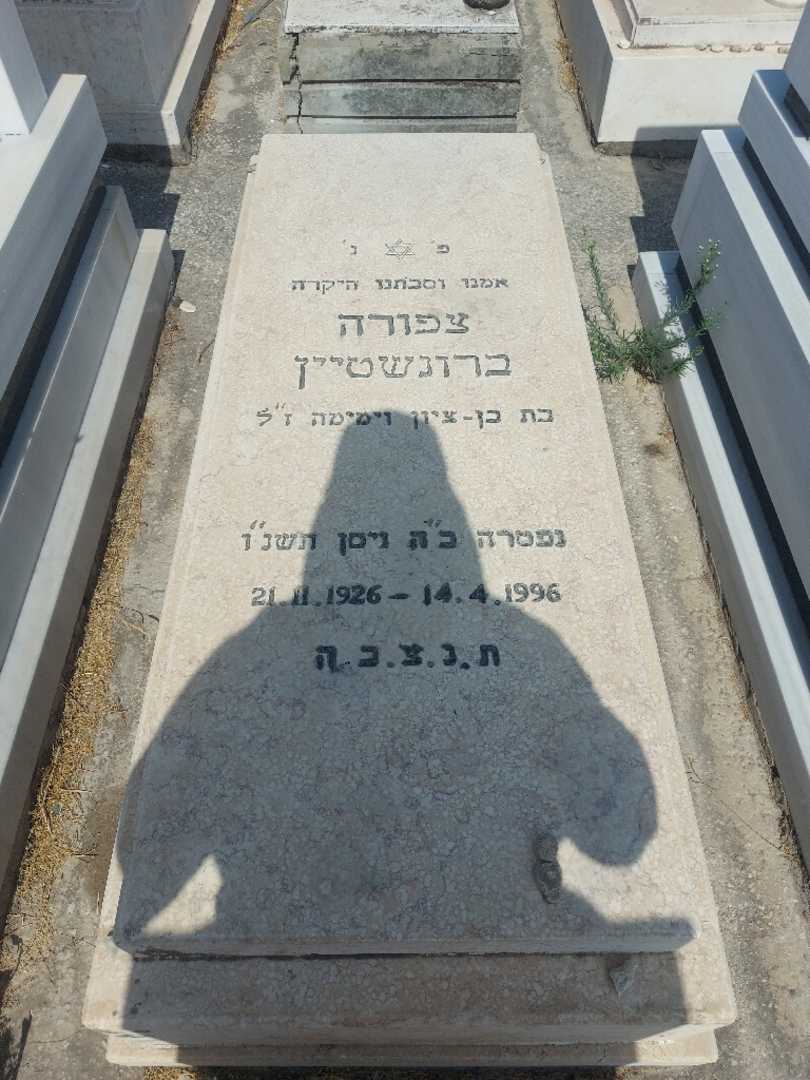 קברו של צפורה ברונשטיין