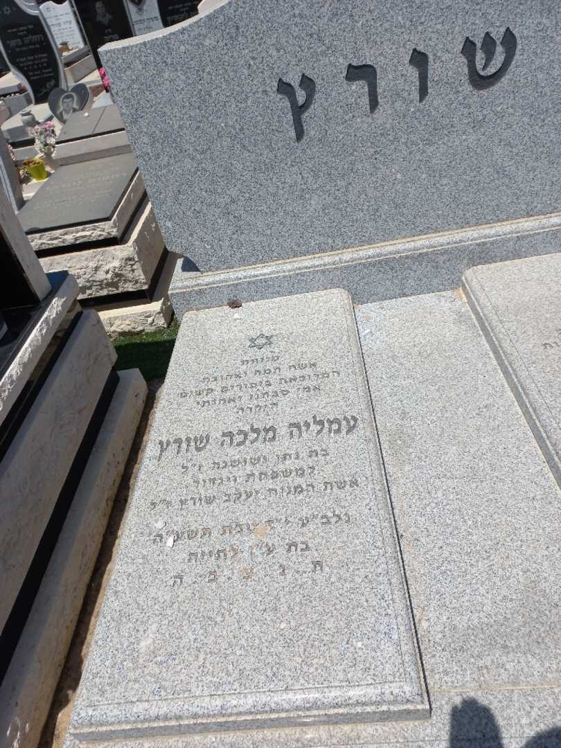 קברו של מלי עמליה שורץ