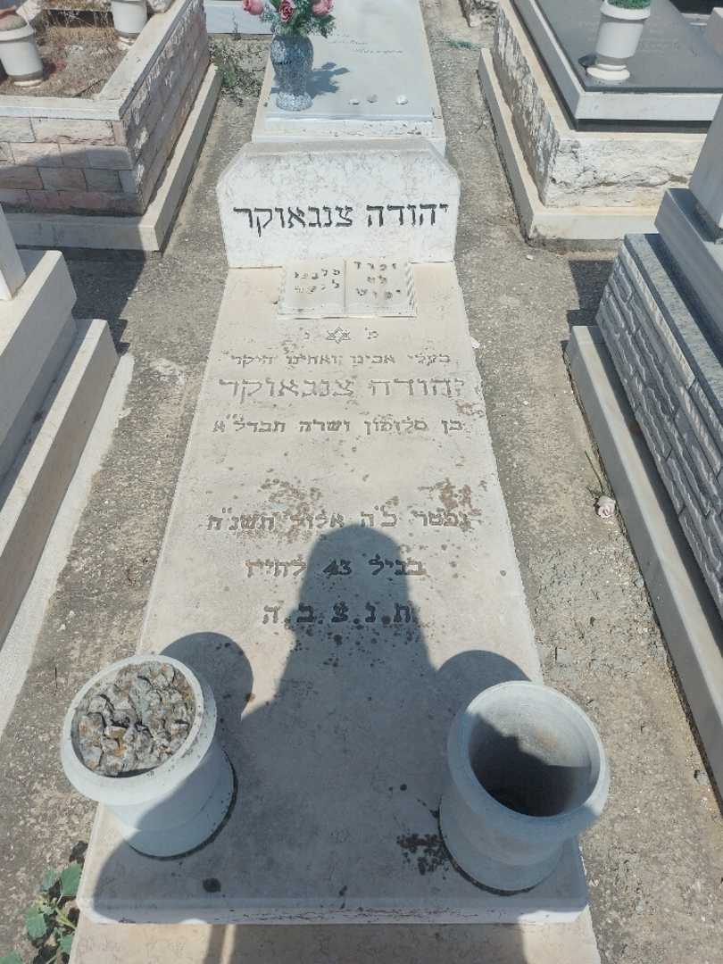 קברו של יהודה צנגאוקר