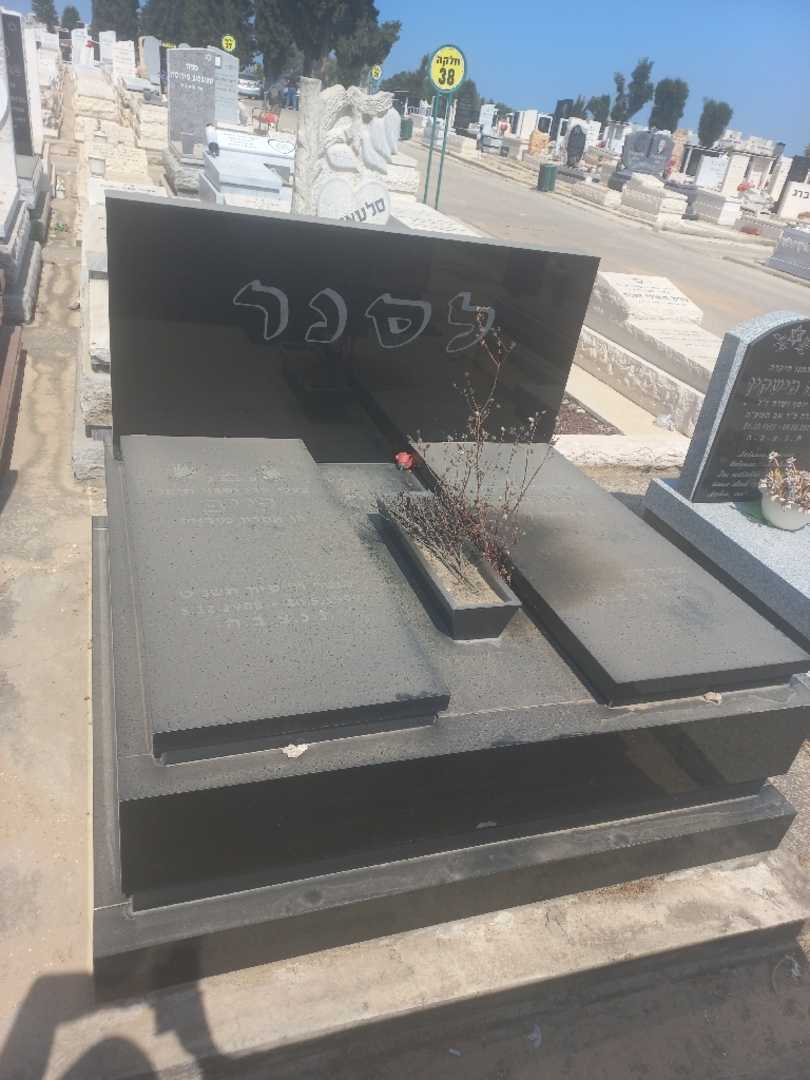 קברו של לייב לסנר. תמונה 1