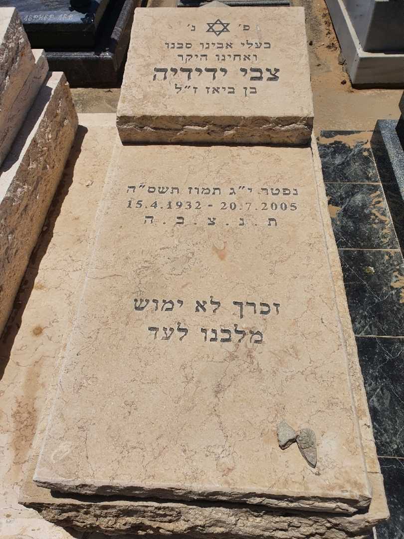 קברו של צבי ידידיה