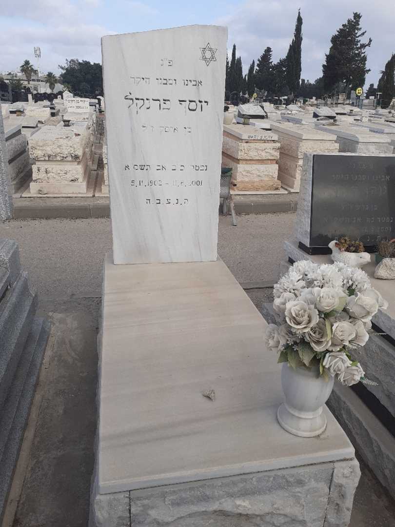 קברו של יוסף פרנקל