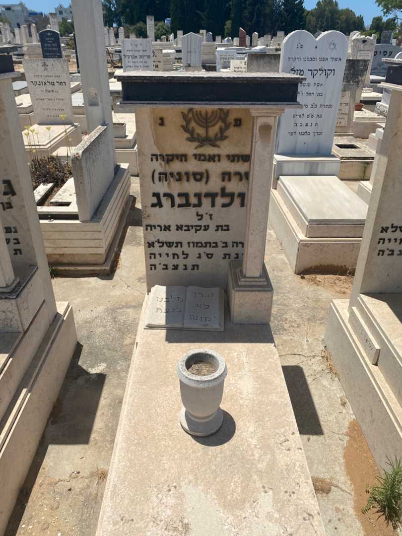 קברו של שרה "סוניה" גולדנברג. תמונה 1