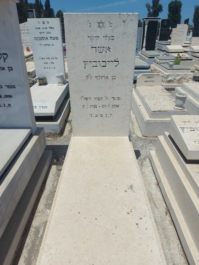 קברו של אשר לייבוביץ