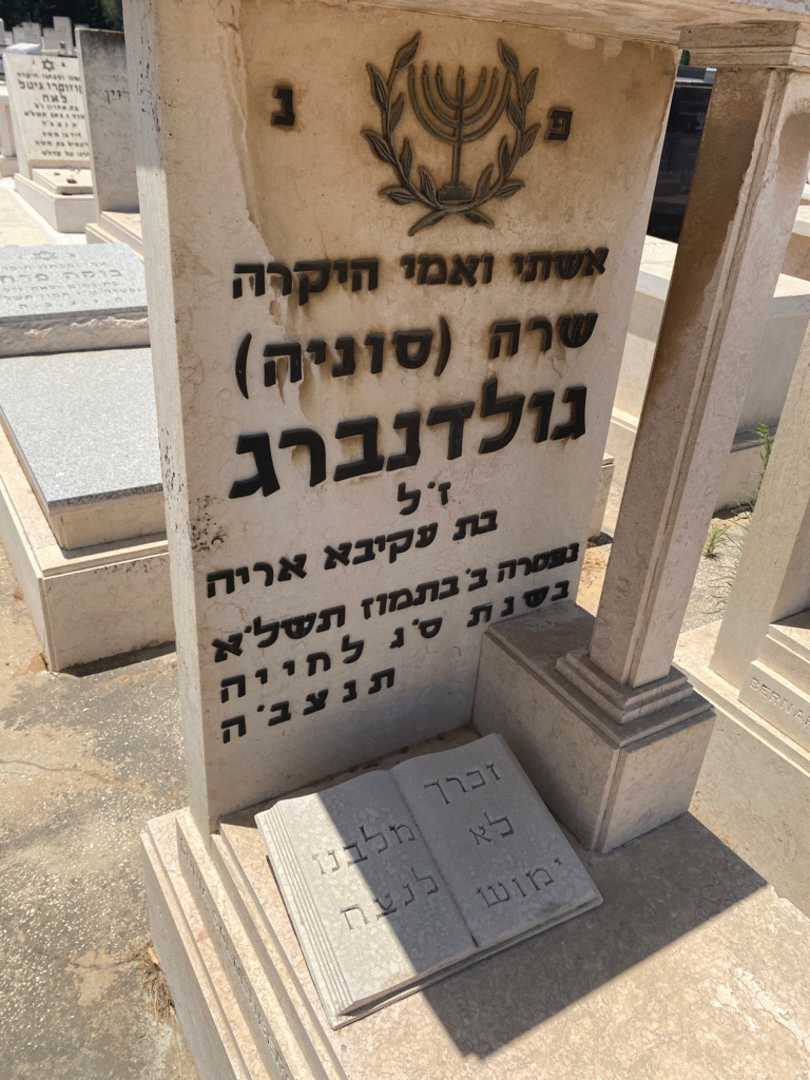 קברו של שרה "סוניה" גולדנברג. תמונה 2