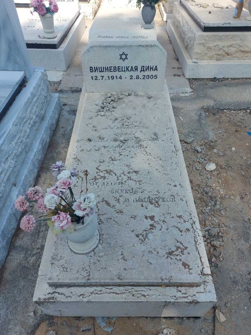 קברו של דינה וישניבצקי