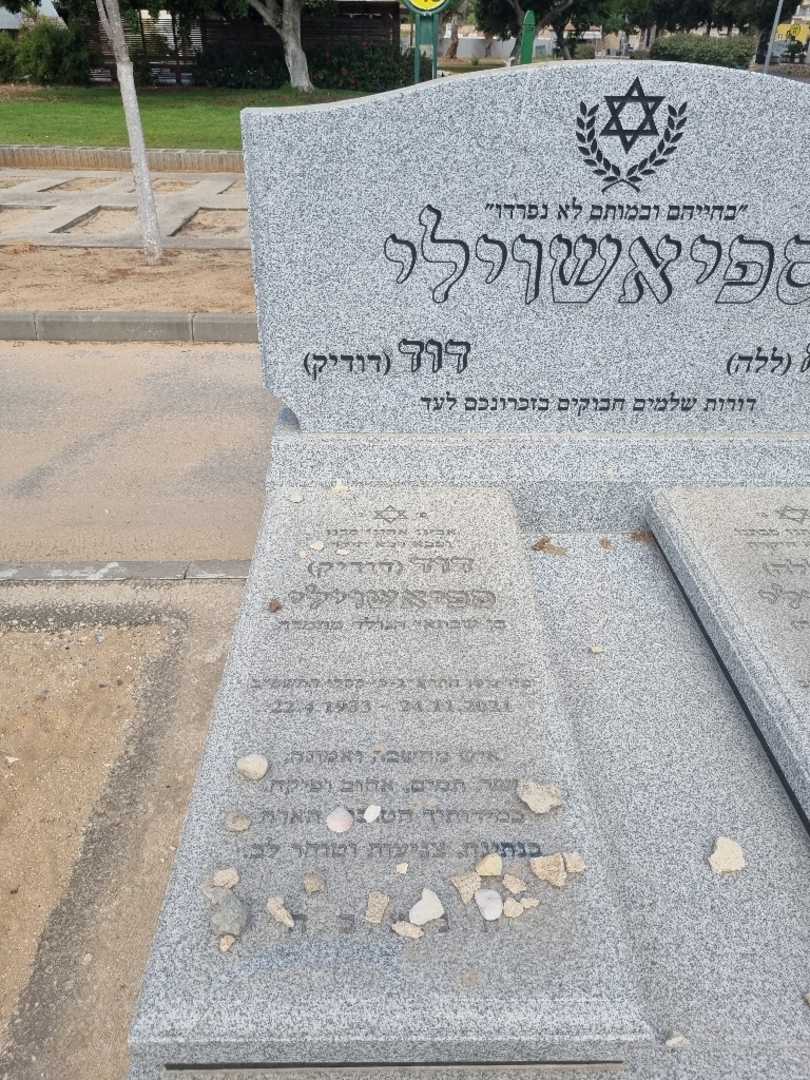 קברו של דוד "דודיק" ספיאשווילי. תמונה 1