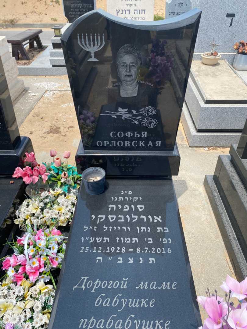 קברו של סופיה אורלובסקי. תמונה 2