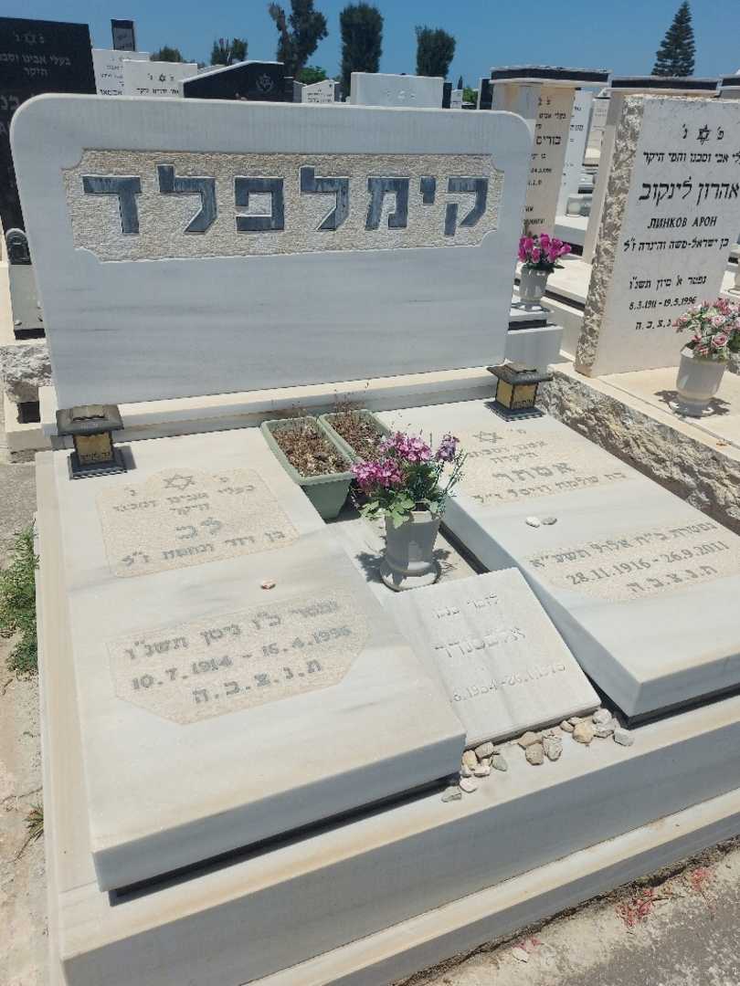 קברו של אלכסנדר קימלפלר. תמונה 2