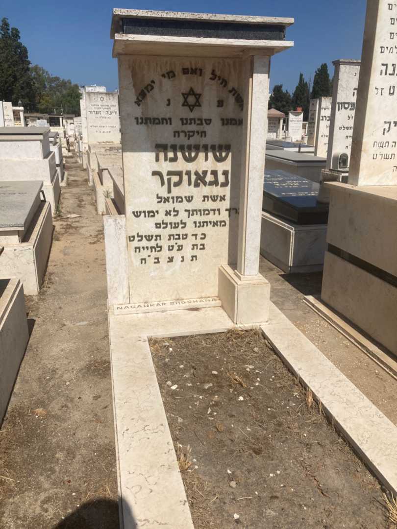 קברו של שושנה נגאווקר