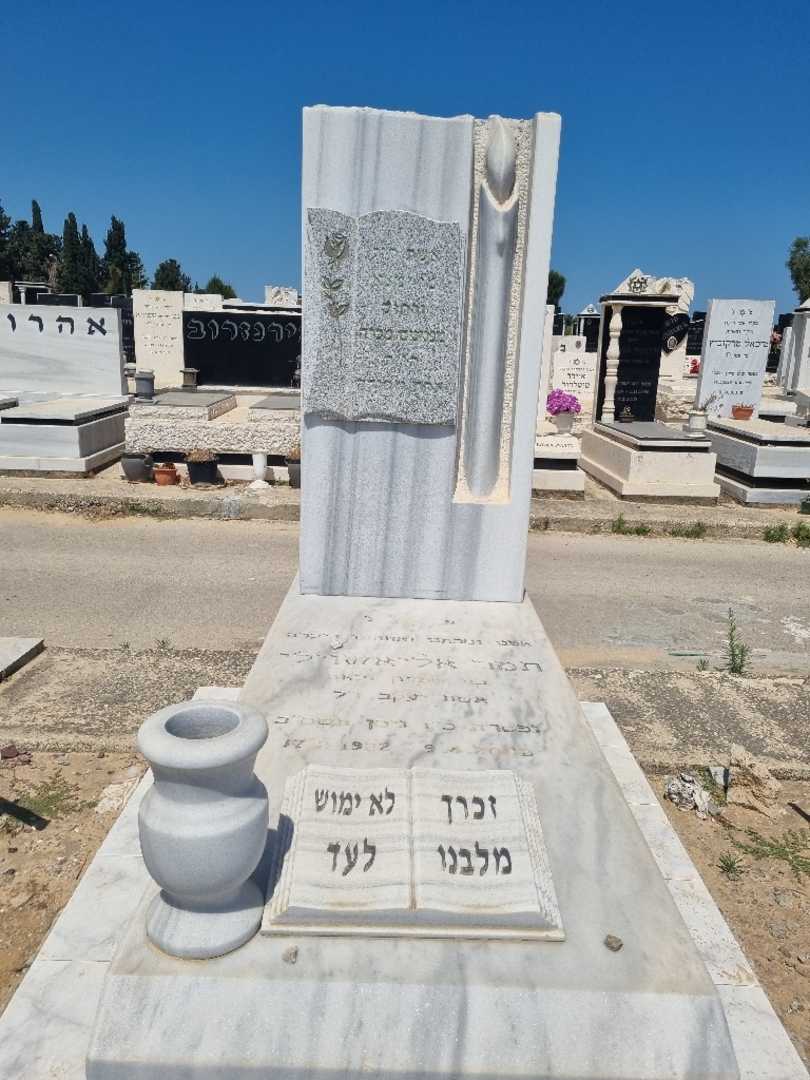 קברו של תמרה אלואשוילי. תמונה 1