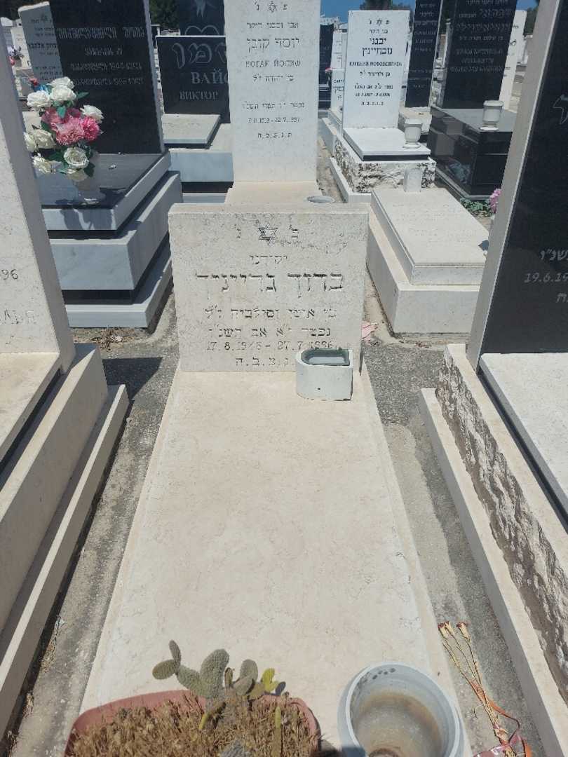 קברו של ברוך גרייניך