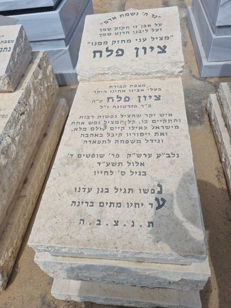 קברו של ציון פלח